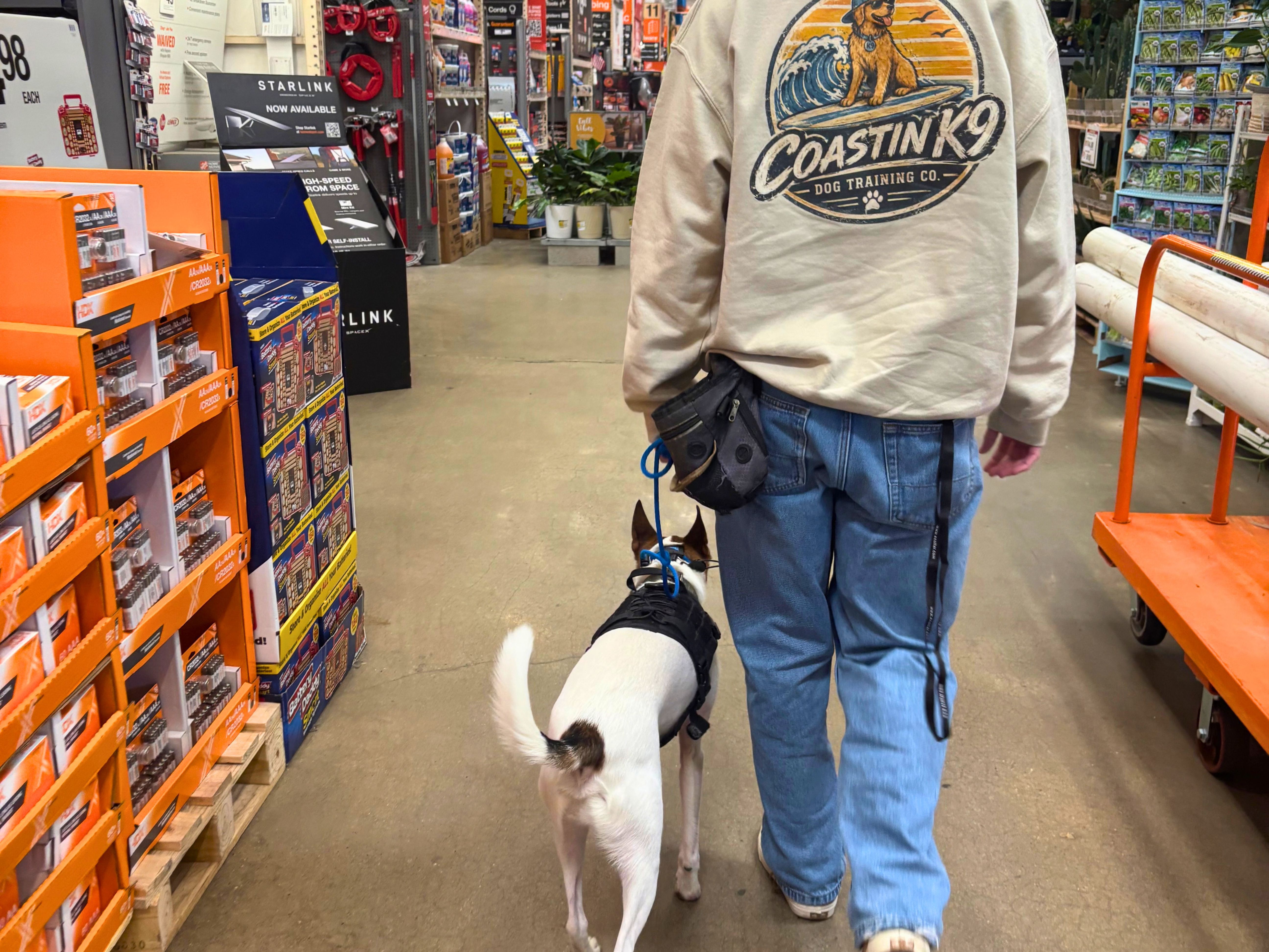 Coastin K9 branded sweatshirt and dog on a walk